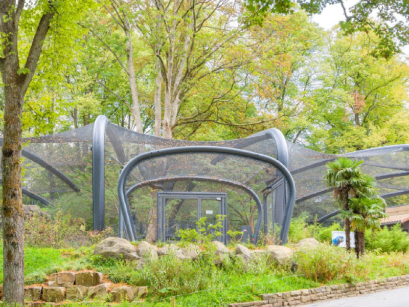 Aralandia Wuppertal, Germania